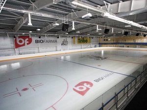 Ice arena "Bilyi Bars"